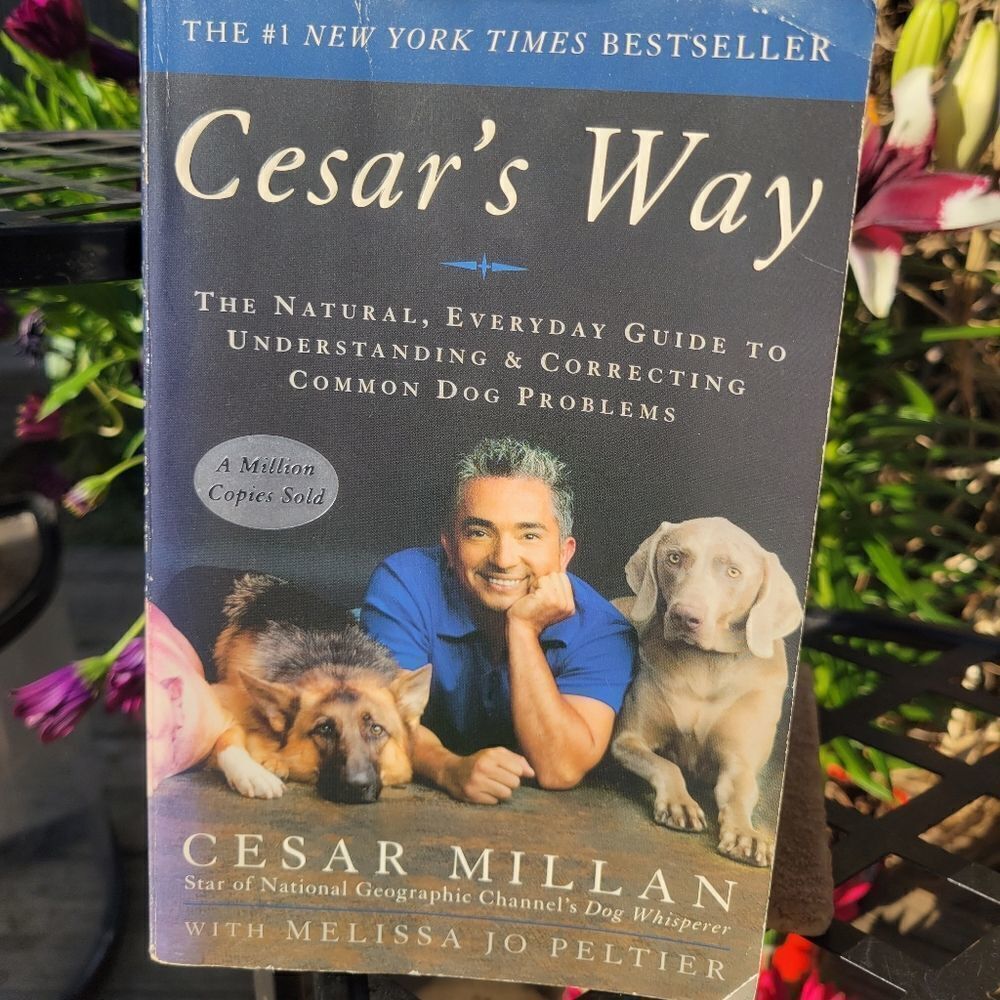 Cesar Millan Book‎
